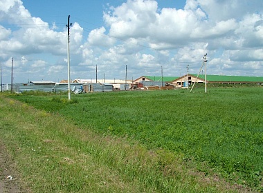 Животноводческая ферма Шеметово